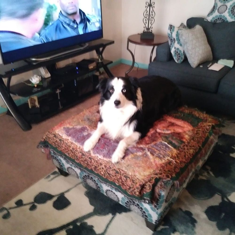 Meet your Posher, Brandy